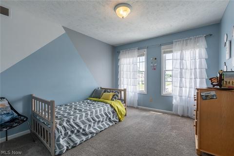 4100 Logans Way, Perry, OH 44081 photo 29
