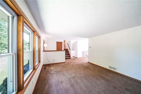 9801 Shanks Down Rd, Windham, OH 44288 photo 10