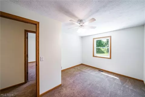 9801 Shanks Down Rd, Windham, OH 44288 photo 16