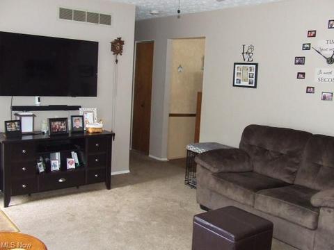 882 Jean Ave, Akron, OH 44310 photo 4