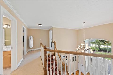 7380 Hillside Ln, Solon, OH 44139 photo 15