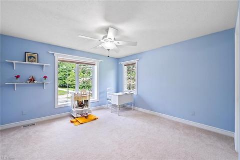 7380 Hillside Ln, Solon, OH 44139 photo 24