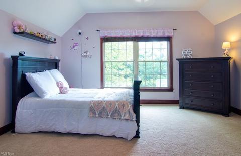 5809 Spring Ridge Dr, Wadsworth, OH 44281 photo 20