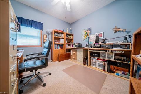 2398 Chenango Rd, Wakeman, OH 44889 photo 18