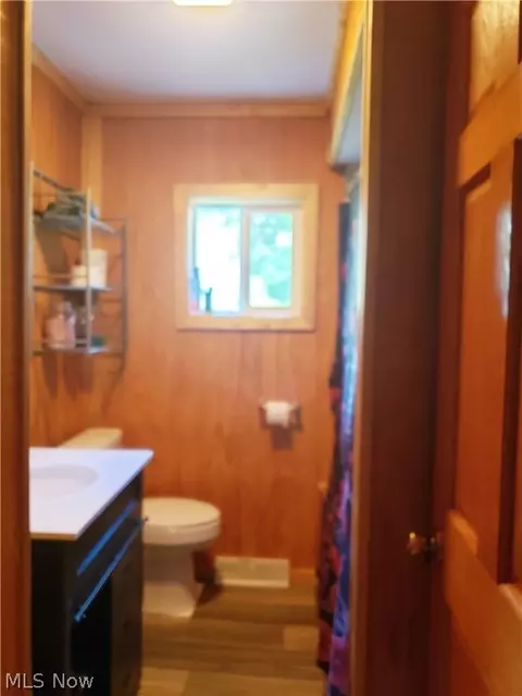 9579 Geneva Dr, Windham, OH 44288 photo 22