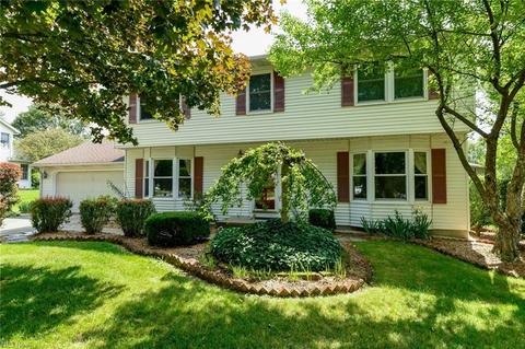 411 Summit St, Wadsworth, OH 44281 photo 1