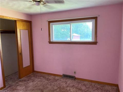 39493 State Route 303, Lagrange, OH 44050 photo 11