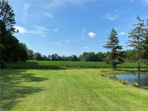 39493 State Route 303, Lagrange, OH 44050 photo 16
