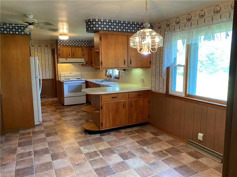 39493 State Route 303, Lagrange, OH 44050 photo 7