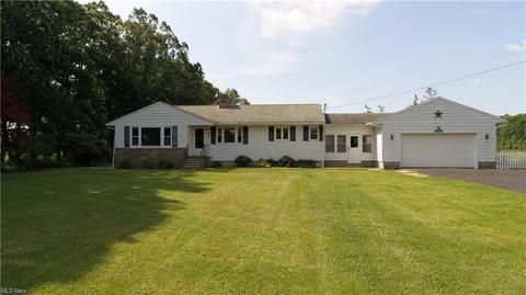 39493 State Route 303, Lagrange, OH 44050 photo 27