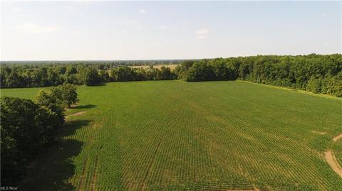 39493 State Route 303, Lagrange, OH 44050 photo 31
