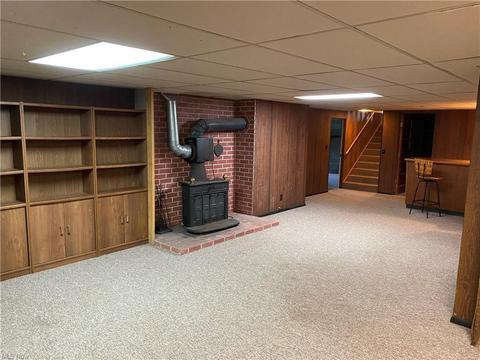 39493 State Route 303, Lagrange, OH 44050 photo 22