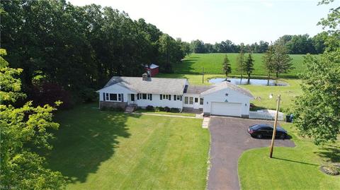 39493 State Route 303, Lagrange, OH 44050 photo 28