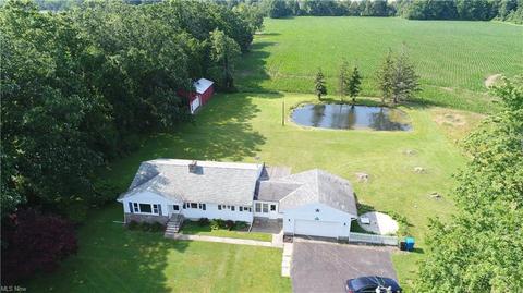 39493 State Route 303, Lagrange, OH 44050 photo 29