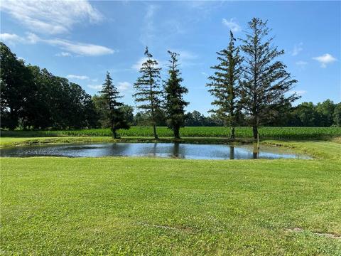39493 State Route 303, Lagrange, OH 44050 photo 14