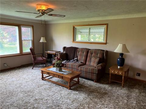39493 State Route 303, Lagrange, OH 44050 photo 3