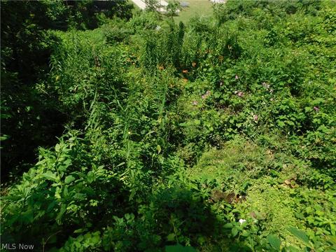 1727 Walnut Blvd, Ashtabula, OH 44004 photo 8
