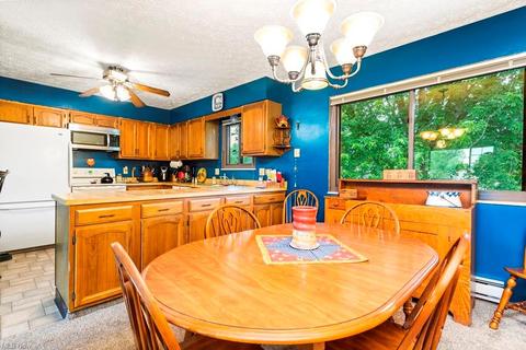 507 Kansas Ave, Elyria, OH 44035 photo 7