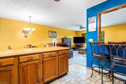 507 Kansas Ave, Elyria, OH 44035 photo 12