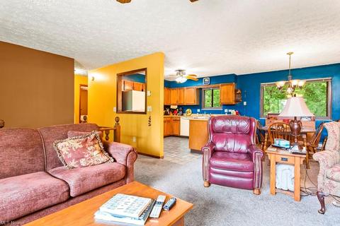 507 Kansas Ave, Elyria, OH 44035 photo 5