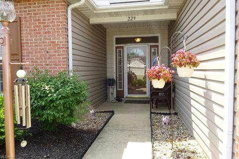 229 Kansas Ave, Elyria, OH 44035 photo 2