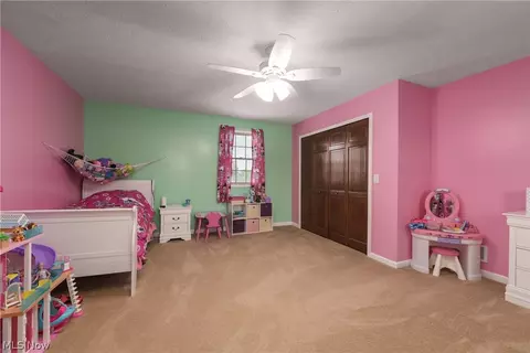 40849 Biggs Rd, Lagrange, OH 44050 photo 23