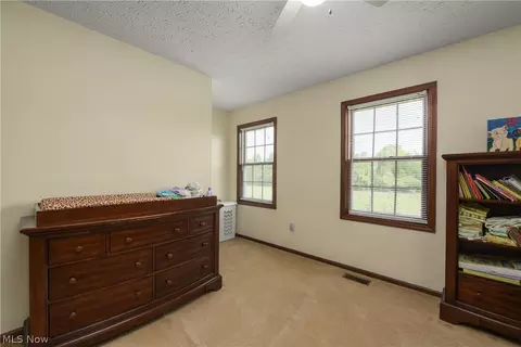 40849 Biggs Rd, Lagrange, OH 44050 photo 27