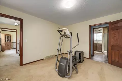 40849 Biggs Rd, Lagrange, OH 44050 photo 9