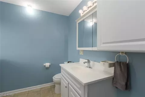 40849 Biggs Rd, Lagrange, OH 44050 photo 21