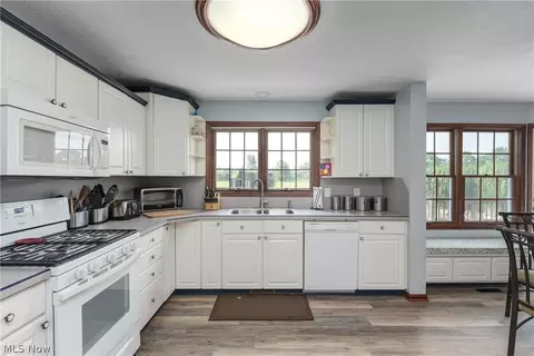 40849 Biggs Rd, Lagrange, OH 44050 photo 13
