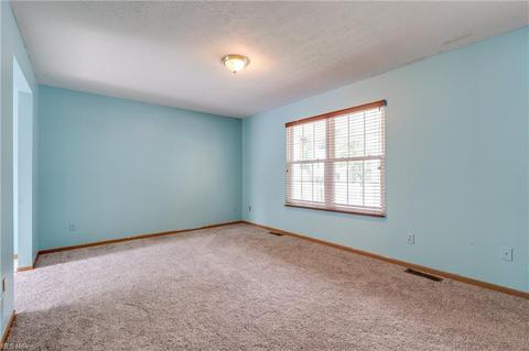 1249 Mount Vernon Ave, Akron, OH 44310 photo 7
