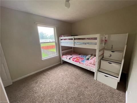 147 Brace Ave, Elyria, OH 44035 photo 10