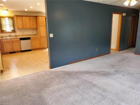 5829 Dunbar Ave, Ashtabula, OH 44004 photo 8