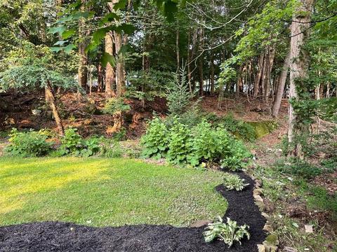 234 E King St, Chardon, OH 44024 photo 30