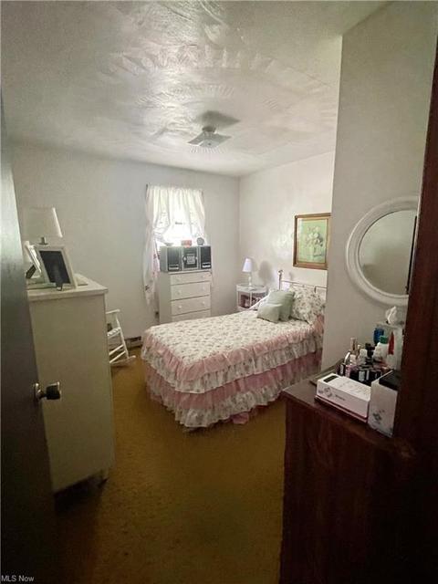 115 Pendleton St, Bethany, WV 26032 photo 11