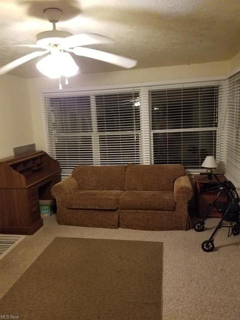 4164 Maple St, Perry, OH 44081 photo 15