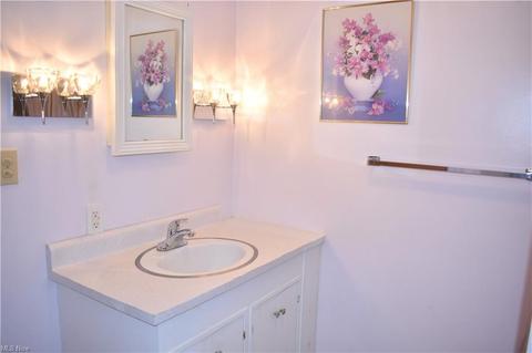 5124 Chestnut Hill Dr, Ashtabula, OH 44004 photo 23