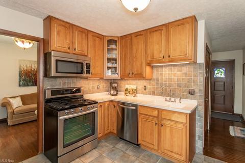7713 Manor Dr, Mentor On The Lake, OH 44060 photo 29