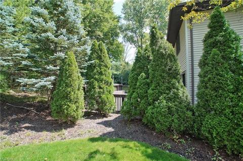 37171 Deer Run, Solon, OH 44139 photo 26