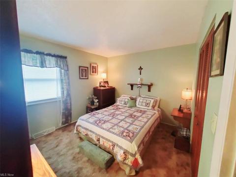 9054 Wilverne Dr, Windham, OH 44288 photo 10