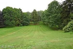 1020 E Maple St, North Canton, OH 44720 photo 6