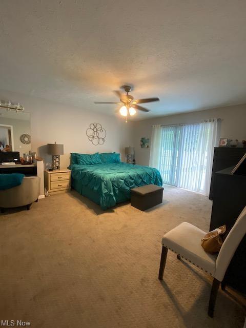 315 Root Rd, Lorain, OH 44052 photo 11