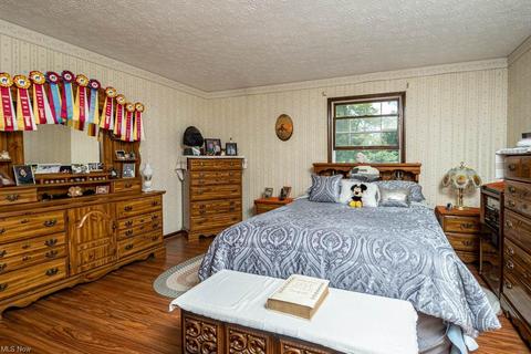 11393 State Route 534, Beloit, OH 44609 photo 21