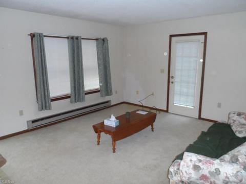 5881 Pine, Andover, OH 44003 photo 4
