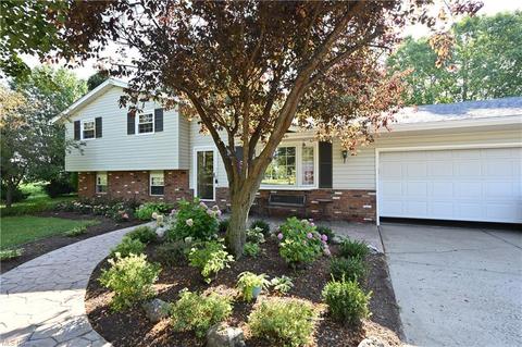 16083 Whitehead Rd, Lagrange, OH 44050 photo 33