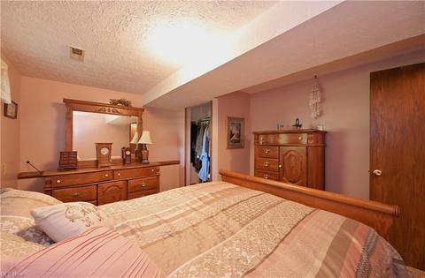 16083 Whitehead Rd, Lagrange, OH 44050 photo 20