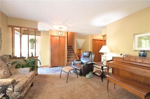 16083 Whitehead Rd, Lagrange, OH 44050 photo 6