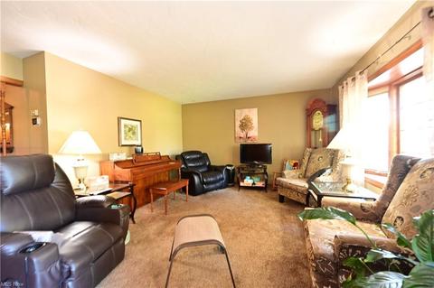 16083 Whitehead Rd, Lagrange, OH 44050 photo 3