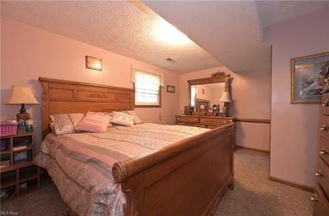 16083 Whitehead Rd, Lagrange, OH 44050 photo 19