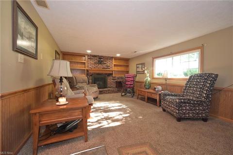 16083 Whitehead Rd, Lagrange, OH 44050 photo 16
